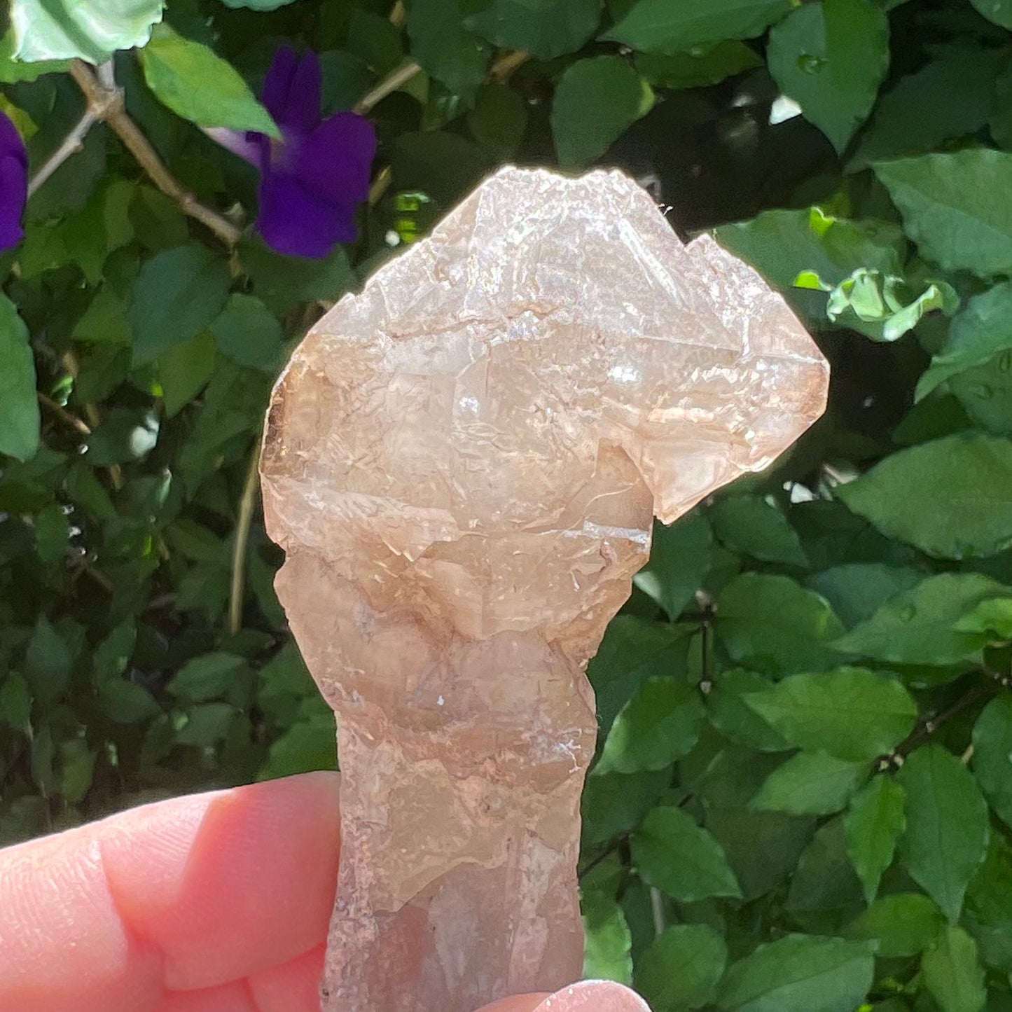 Elestial Stalactite Clear Quartz with Smoky Quartz double-terminated Scepter | Inner Mongolia