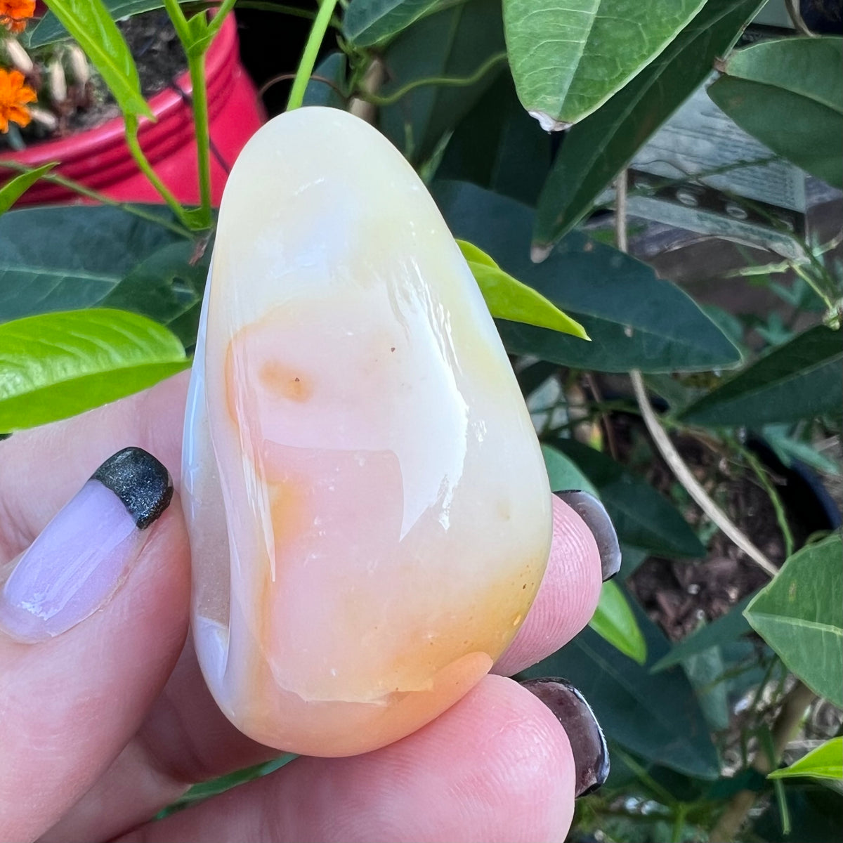Polished Apricot/Yellow Flower Agate Geode Egg with Crystalline Druzy Cave