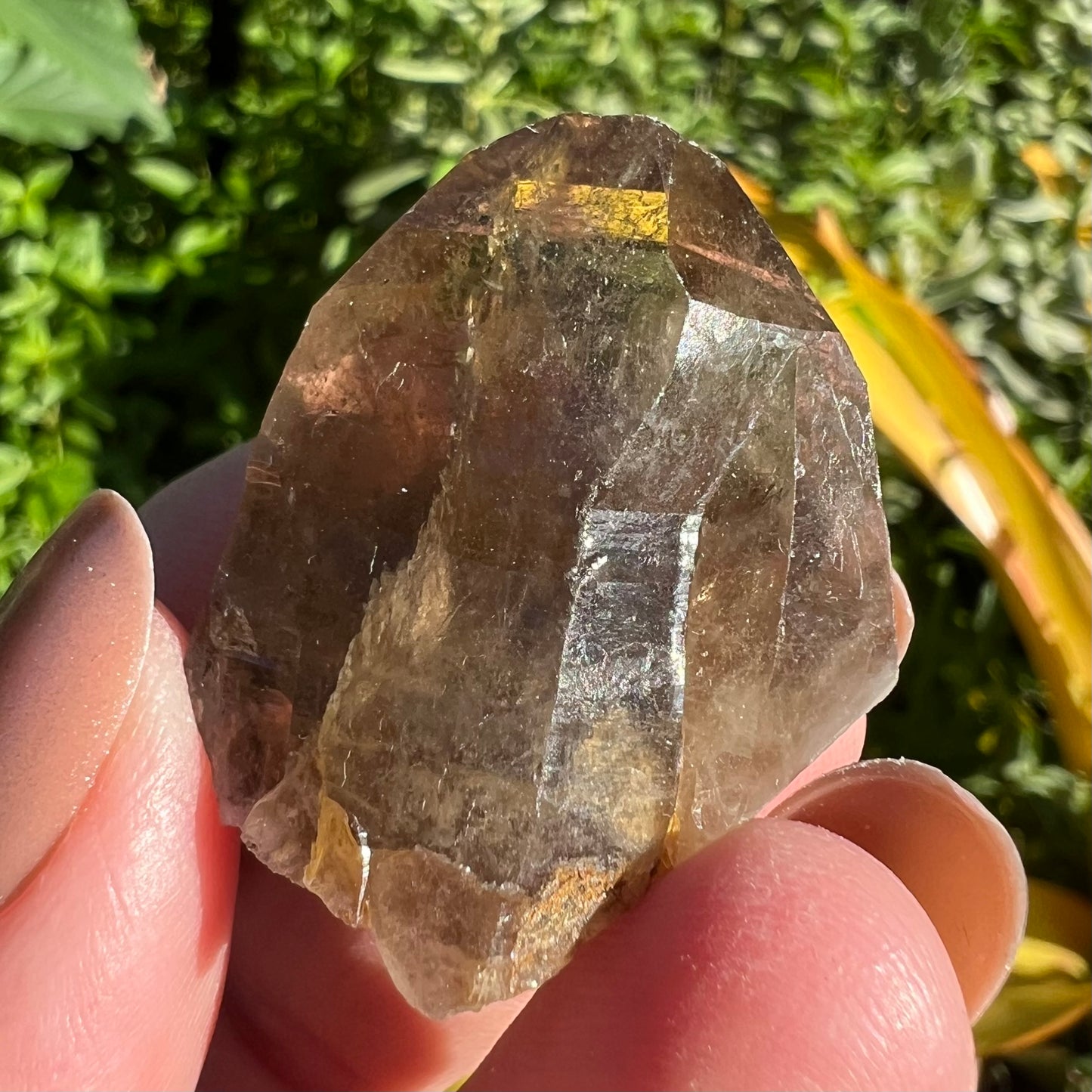 Natural Smoky Quartz Point - Namibia