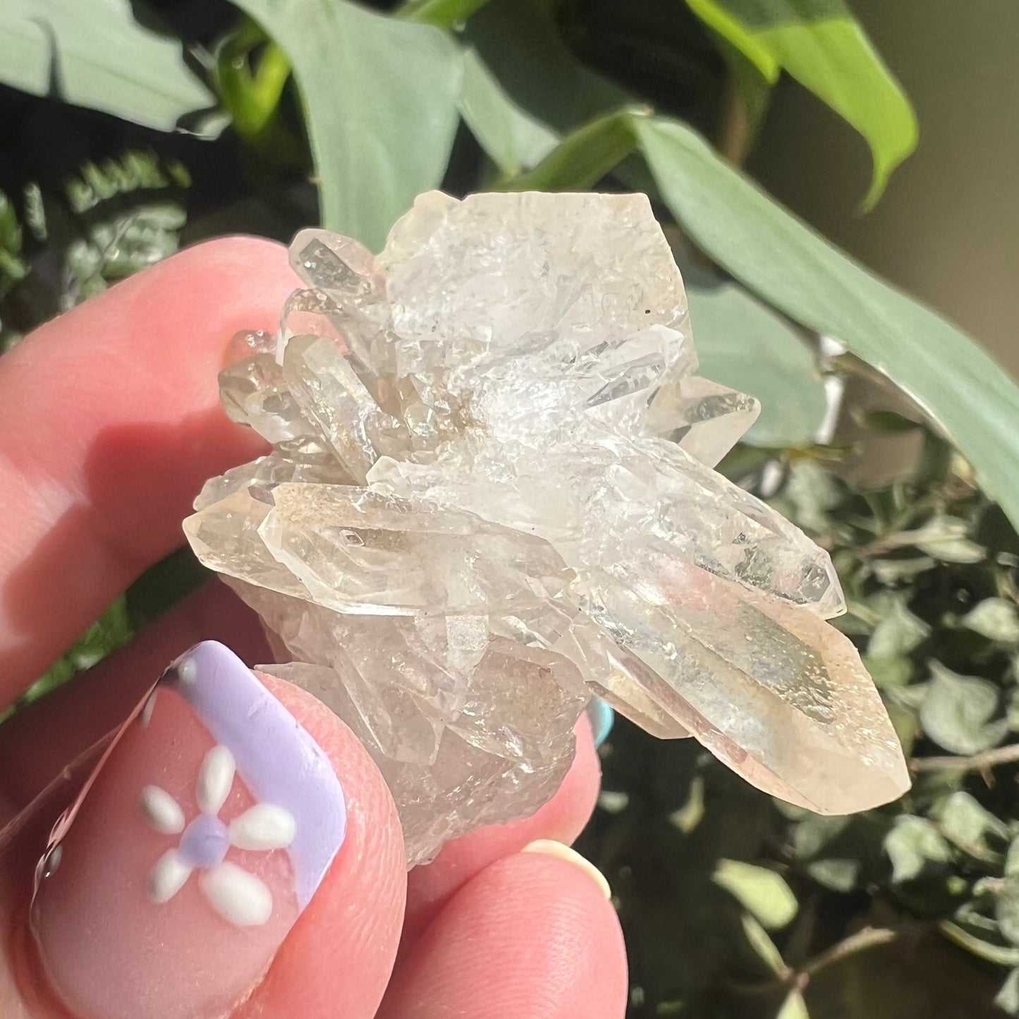 Small Golden Healer Quartz Cluster (Brazil)