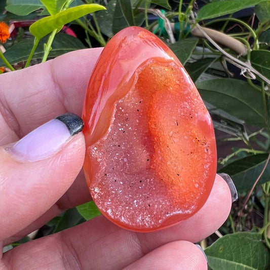 Polished Carnelian Agate Egg Geode|Palm Stone with Quartz Druzy