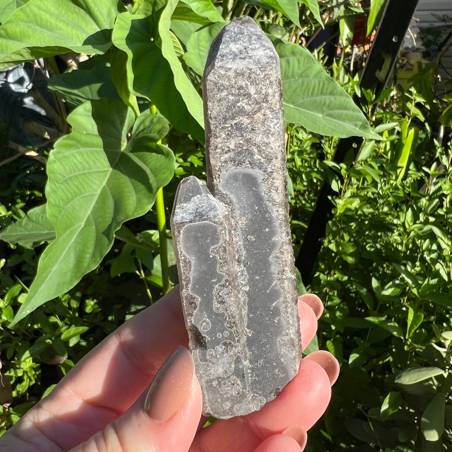 Black Quartz Twin Points | Inner Mongolia | Heavily etched Smoky Quartz