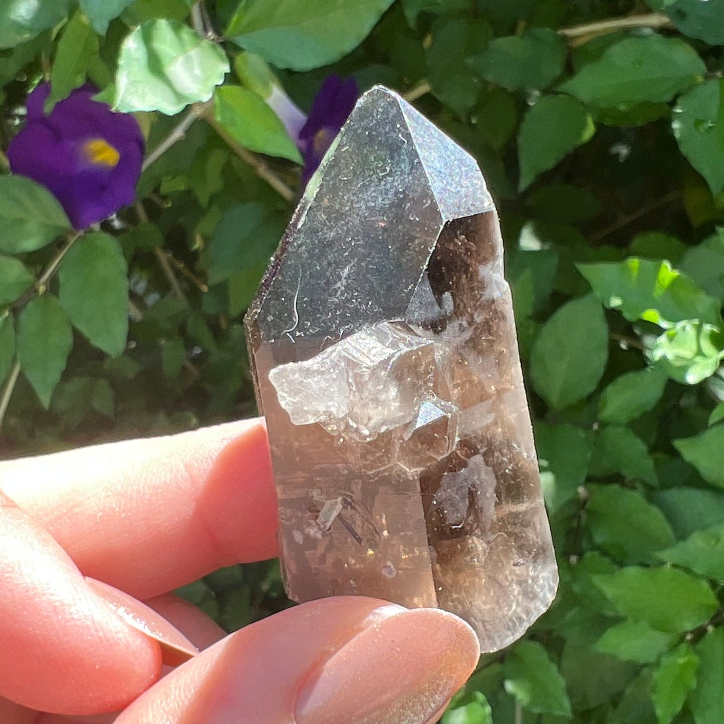 Manifestation Quartz | Smoky Quartz Point with complete Penetrator | Inner Child Quartz