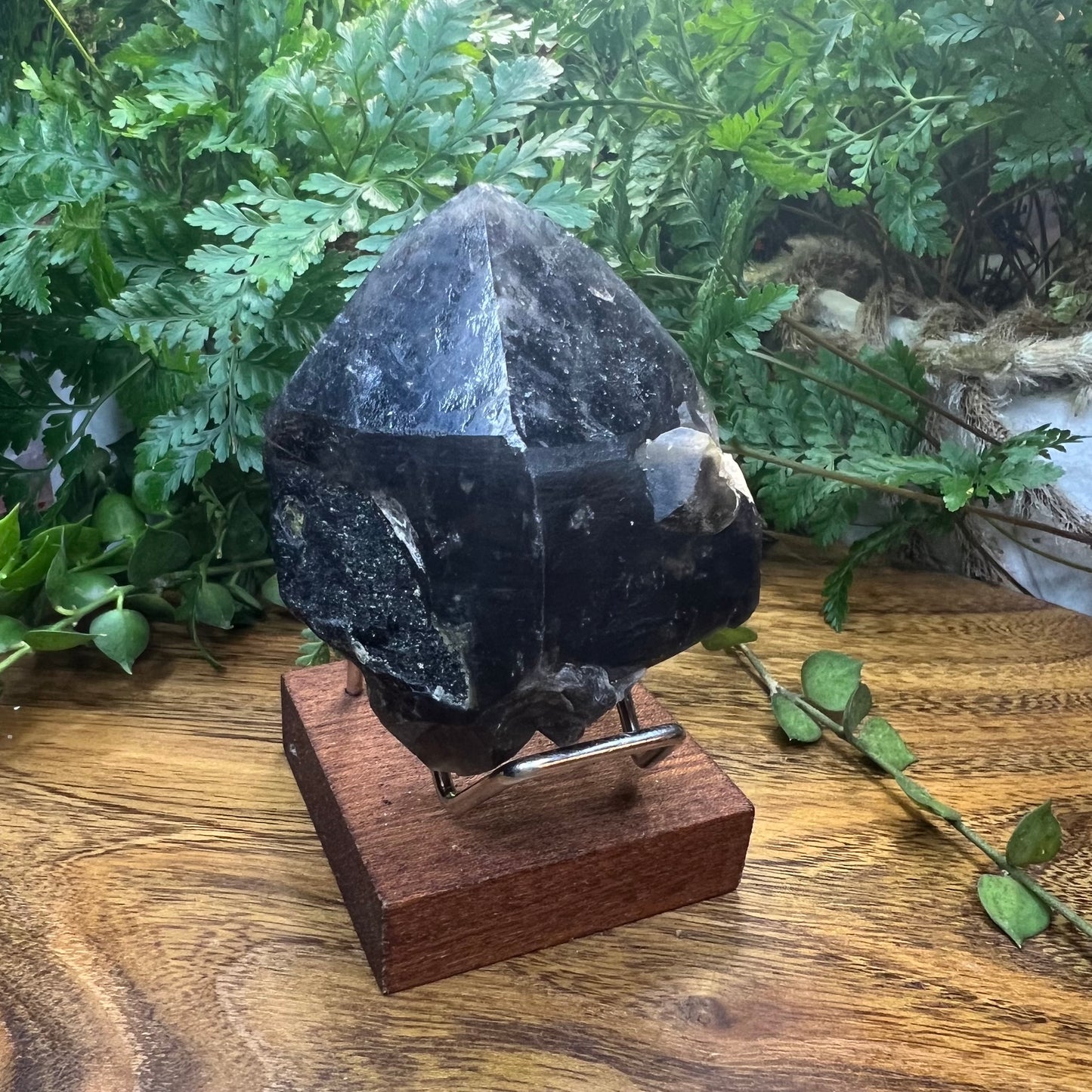 Morion Black Quartz Point | Smoky Quartz Cap | Natural Imprinted base