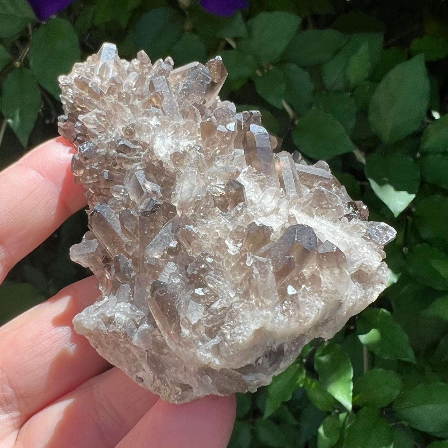 Smoky Quartz Cluster - lovely small point display