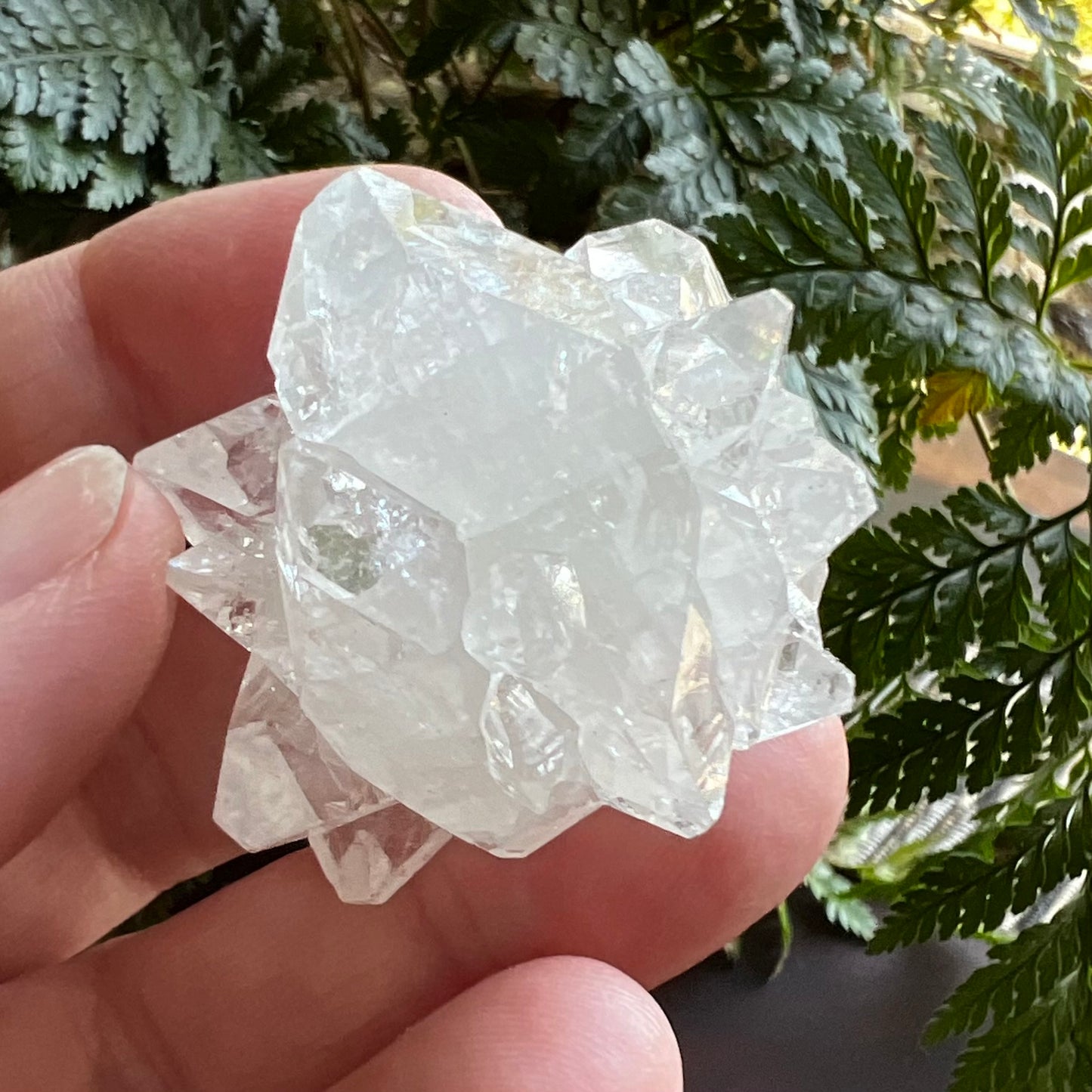 Mirror Apophyllite on Clear Calcite Matrix Cluster - Jalgoan District, Maharashtra, India