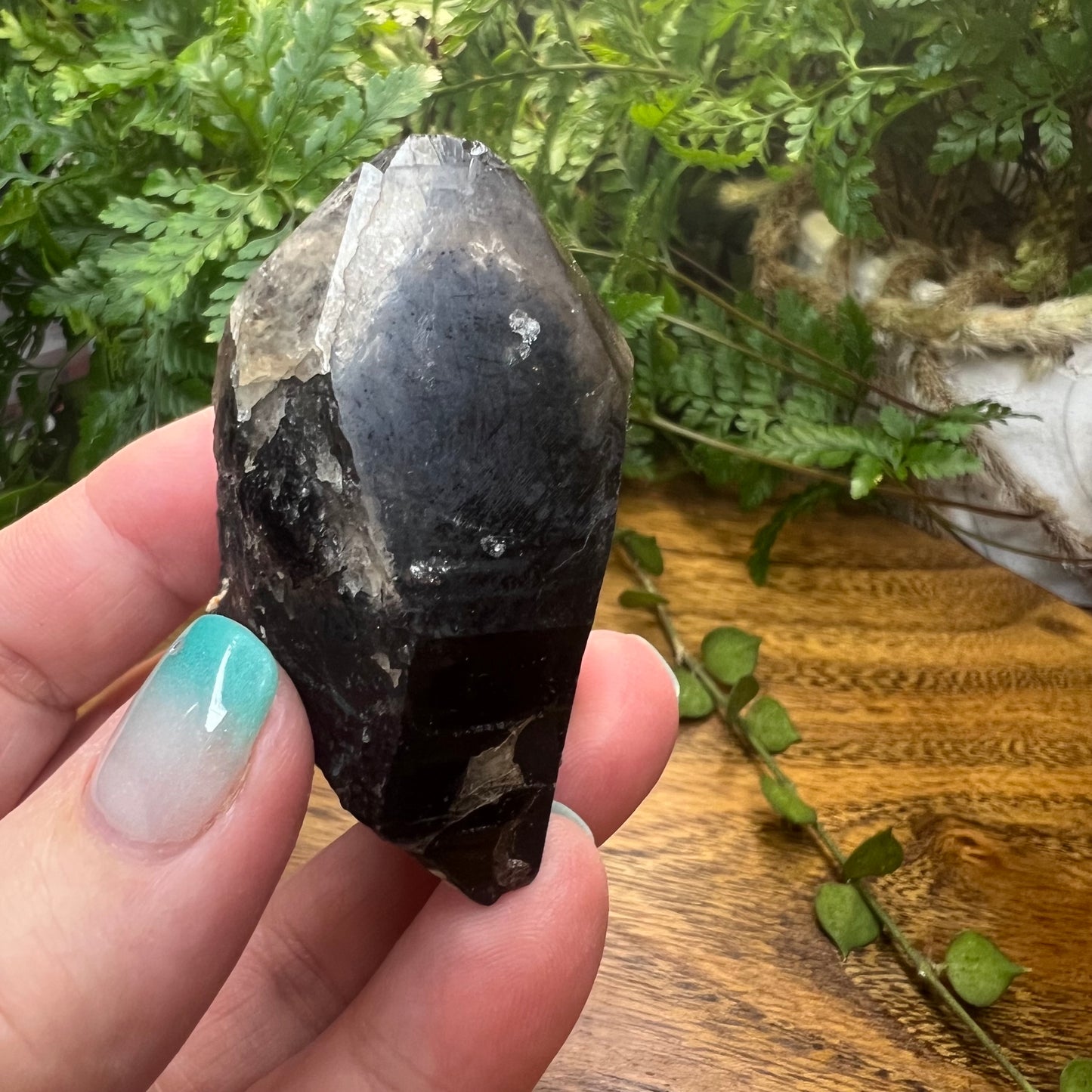 Morion Quartz Point | Black Quartz with Smoky Quartz capping