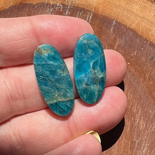Apatite Flatback Earring Cabochon Pair | Pendant Cabochons