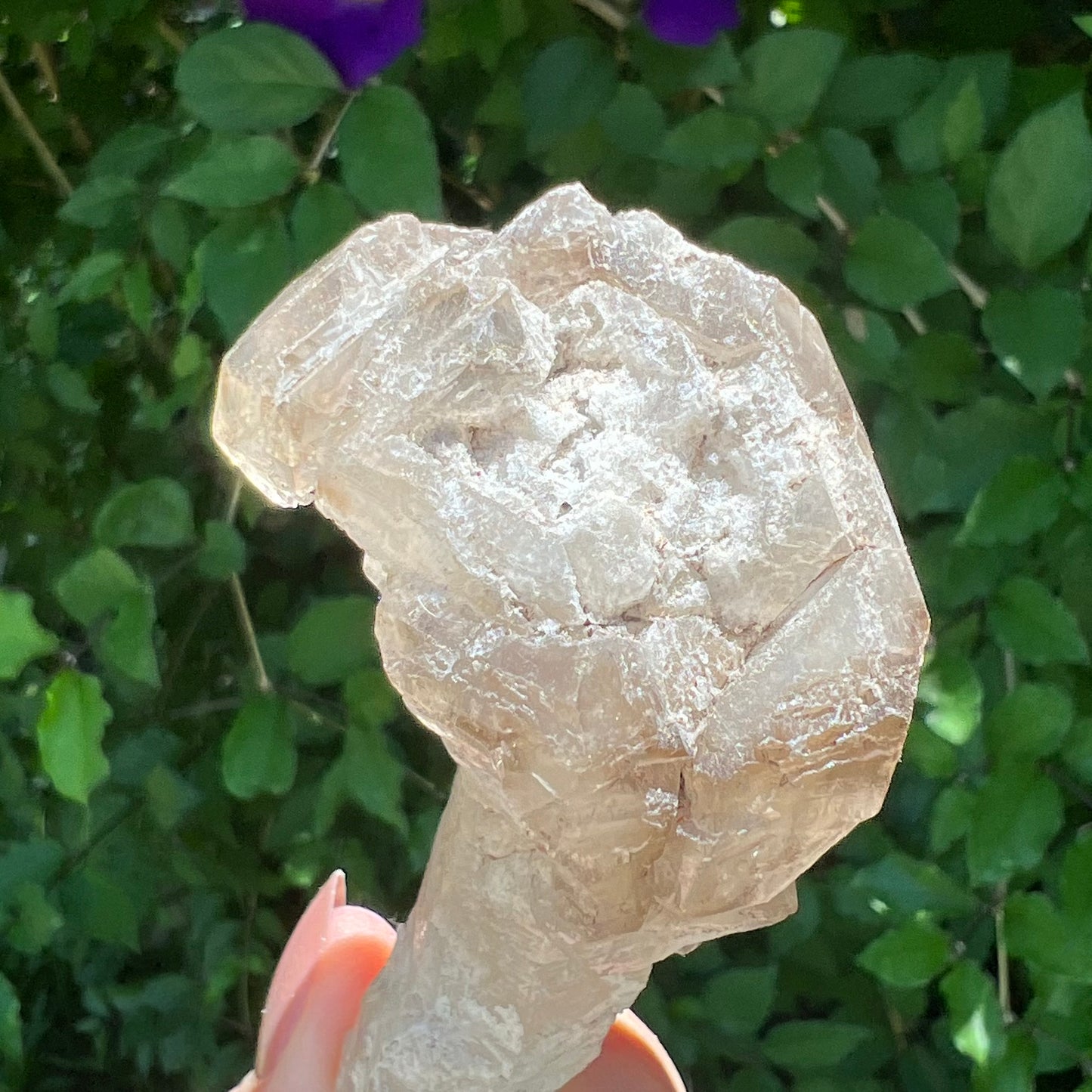 Elestial Stalactite Clear Quartz with Smoky Quartz double-terminated Scepter | Inner Mongolia