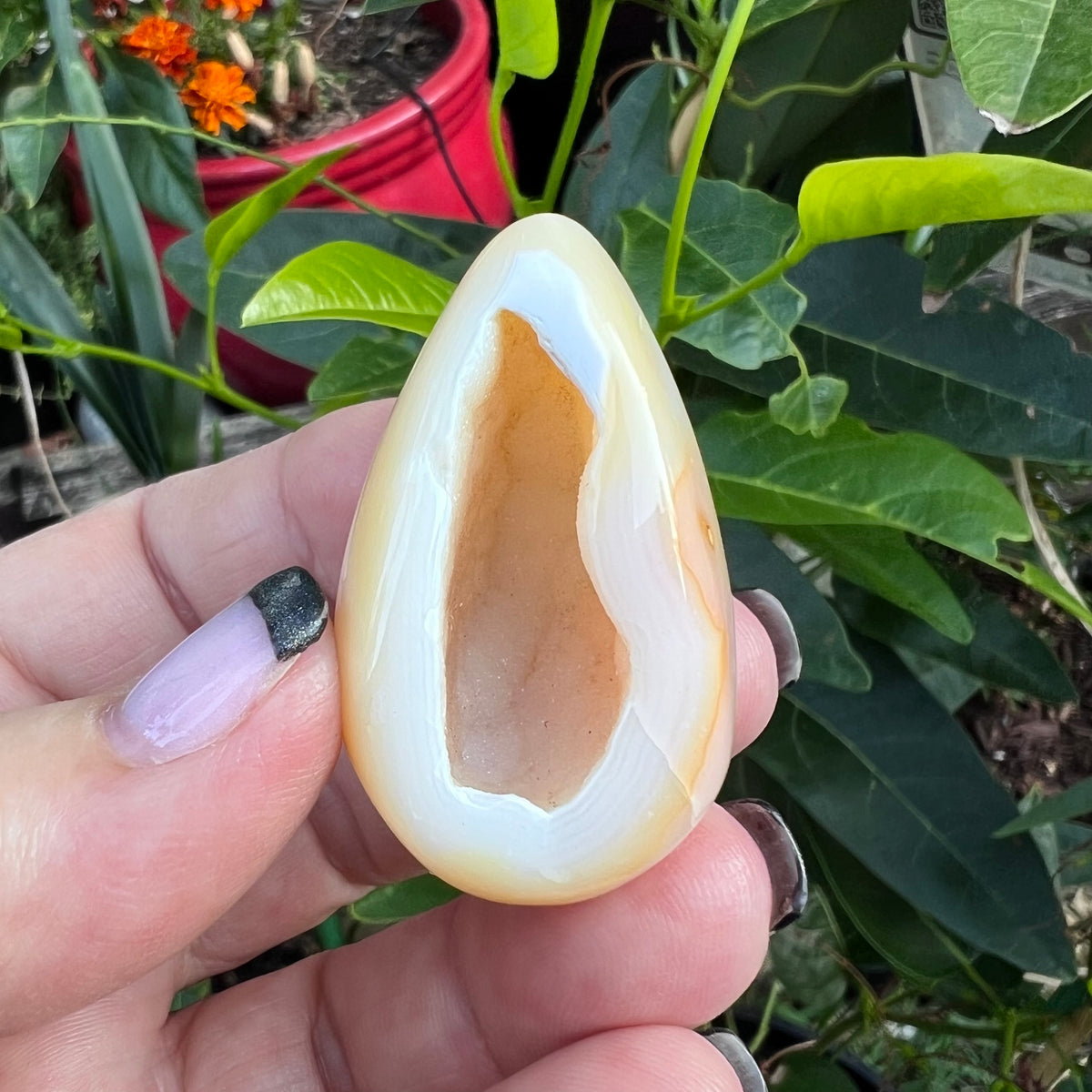Polished Apricot/Yellow Flower Agate Geode Egg with Crystalline Druzy Cave