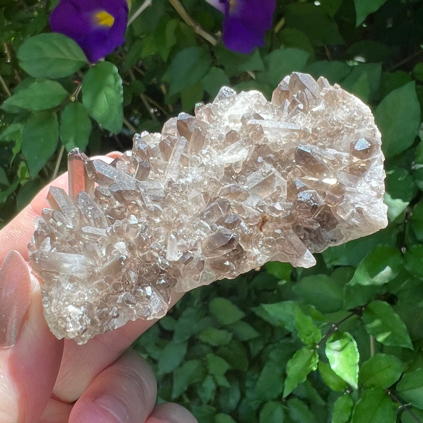 Smoky Quartz Cluster - lovely small point display