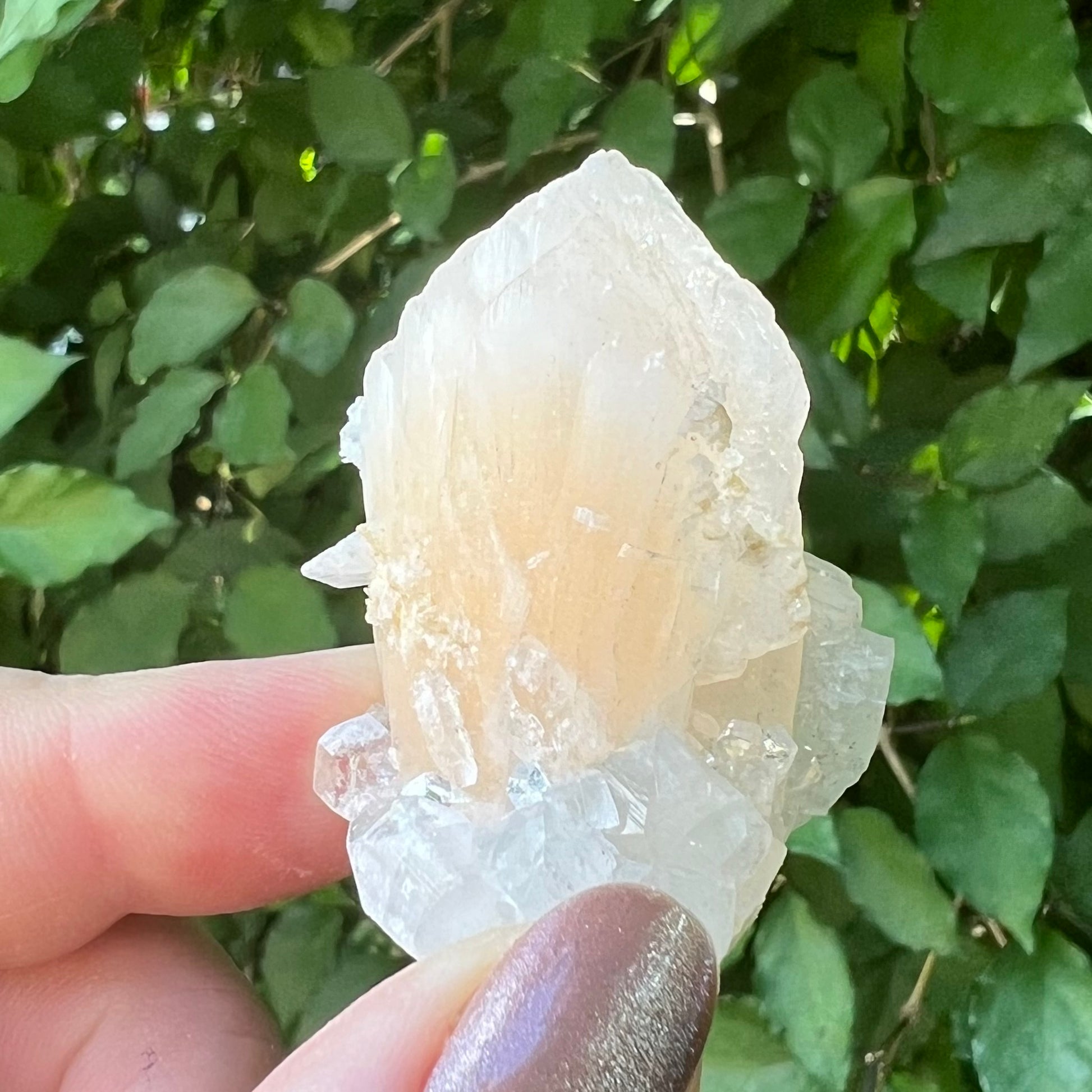 Peach Stilbite in Mirror Apophyllite Zeolite specimen - Jalgoan District, Maharashtra, India
