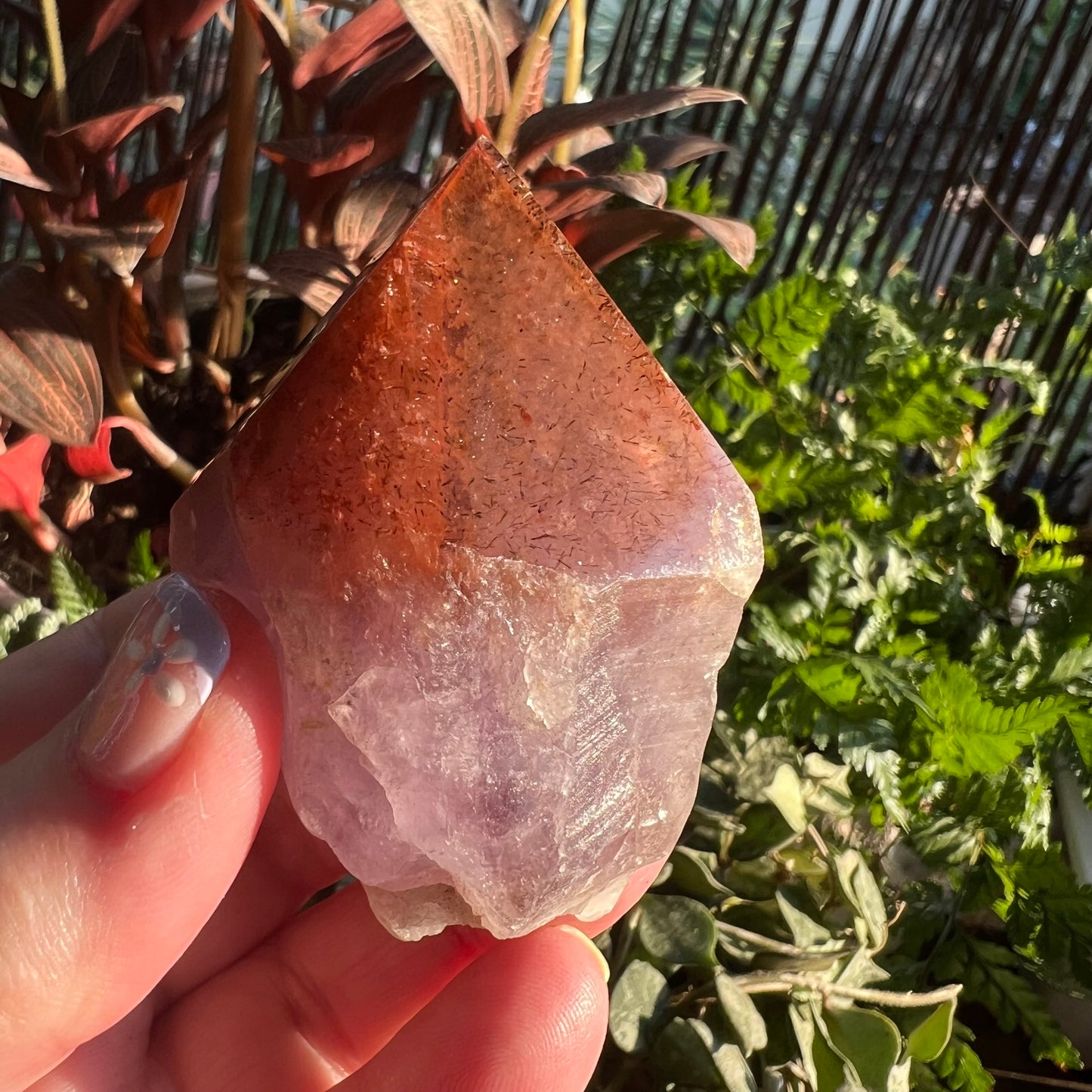 Red Cap Amethyst | Auralite-23 Large Natural Point