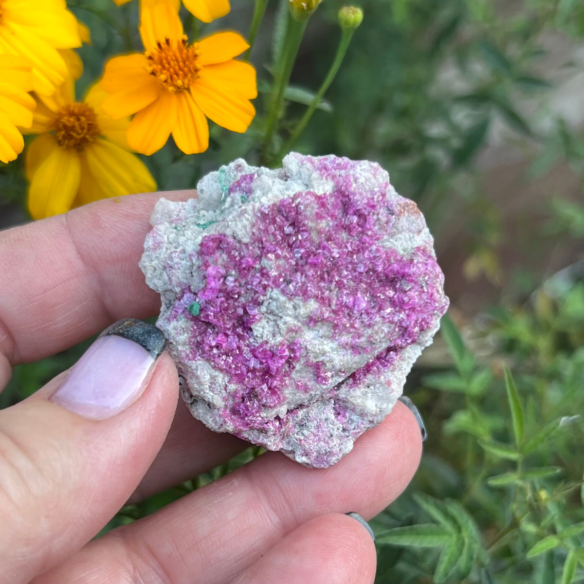 Sparkly Magenta Pink Cobaltoan Calcite mineral specimen.