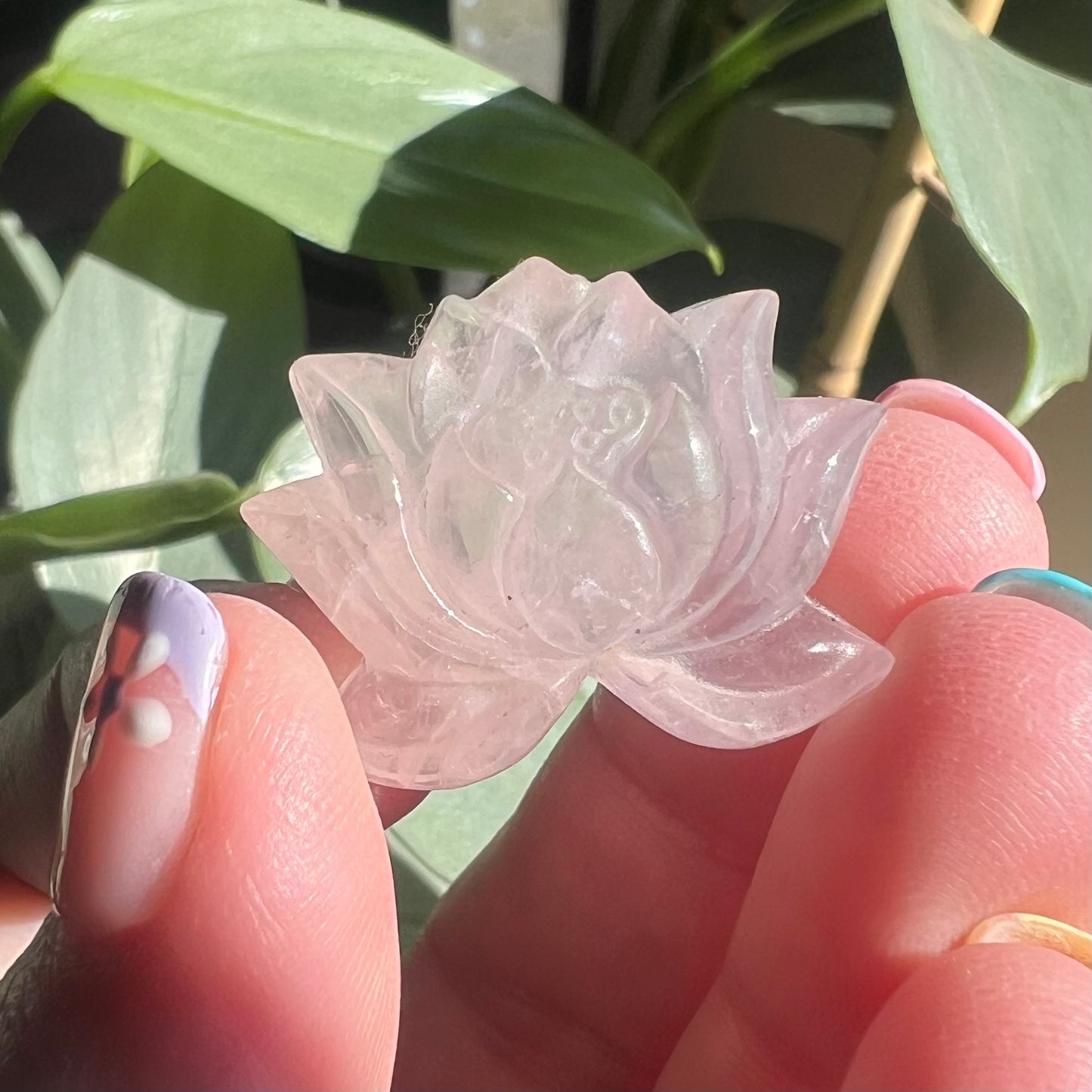 Rose Quartz Lotus Blossom Carvings