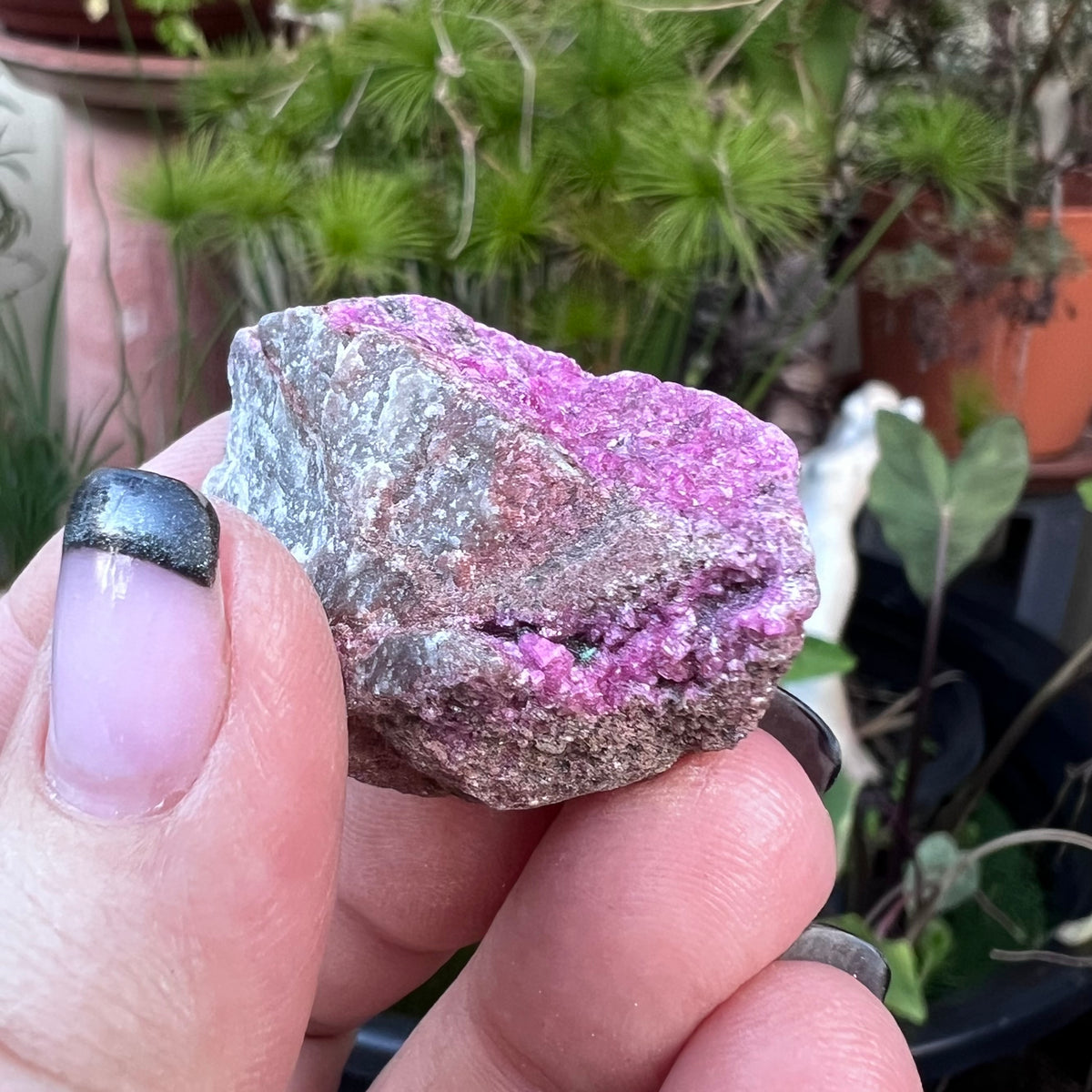 Cobaltoan Calcite /Cobalt Calcite | Katanga Province, The Democratic Republic of Congo