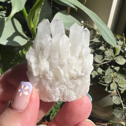 Snow Quartz Cluster - Small and sweet