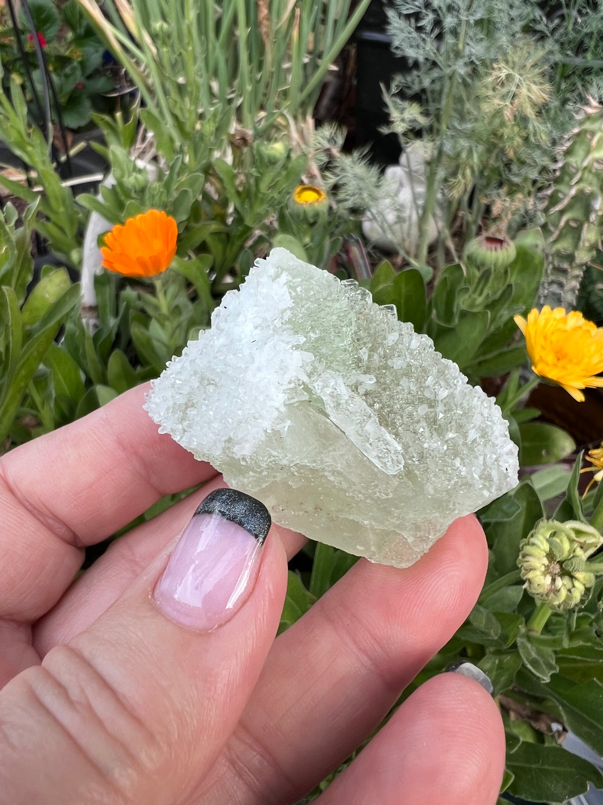 Large Octahedral Fluorite Section Specimen blanketed in Quartz Druzy