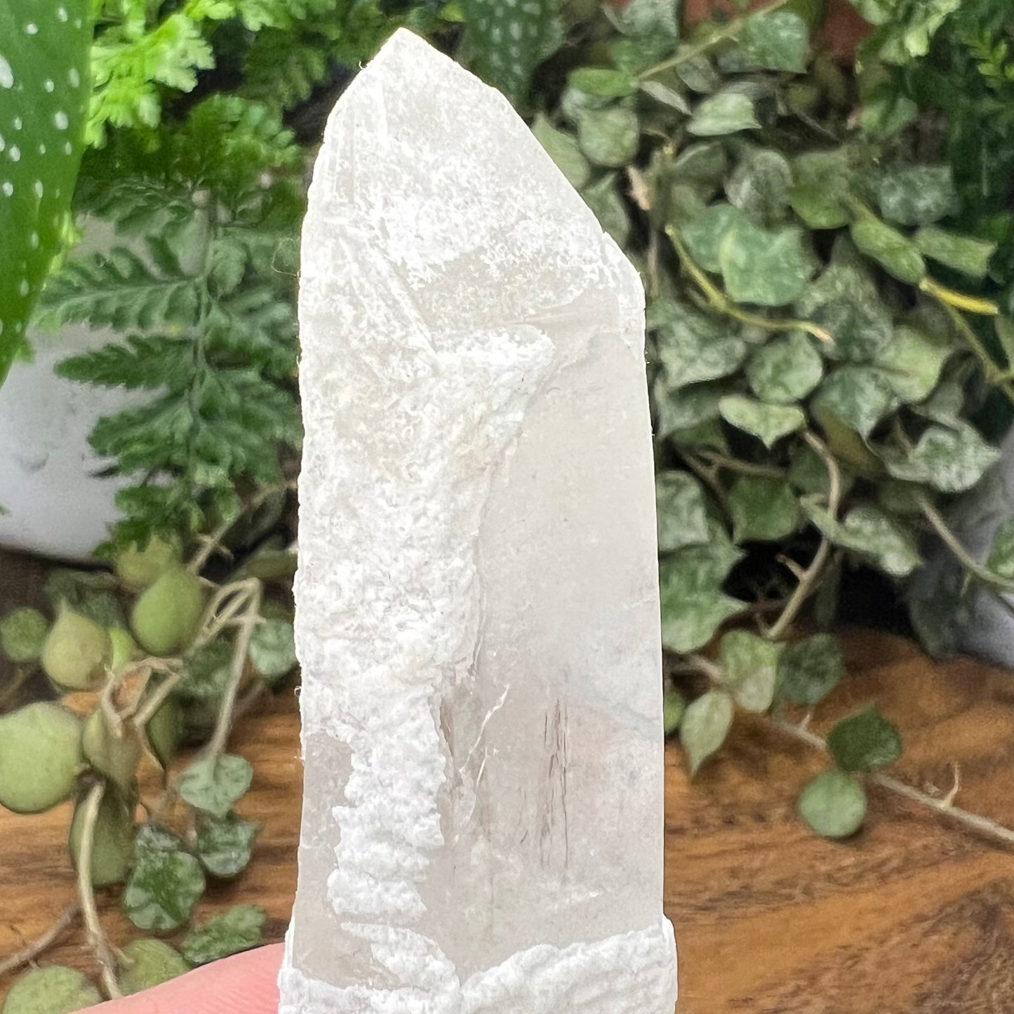 Inner Mongolian Quartz Point - Clear main point with heavily frosted exterior