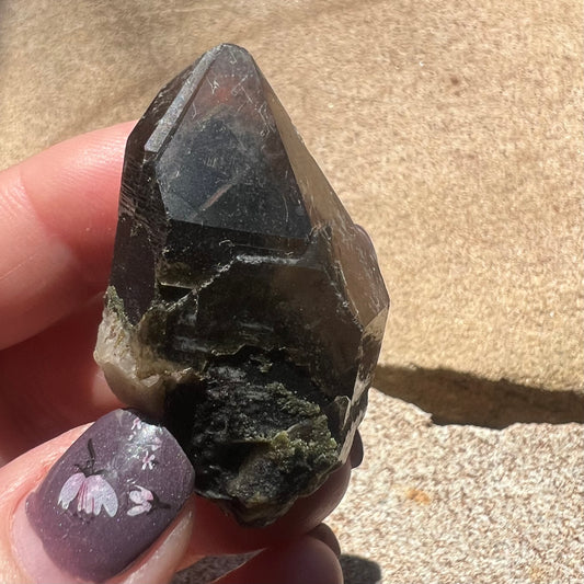 Morion Black Quartz with pale Smoky Quartz cap Specimen