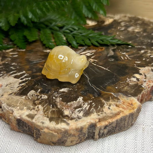 Golden Healer Turtle Mini Carving