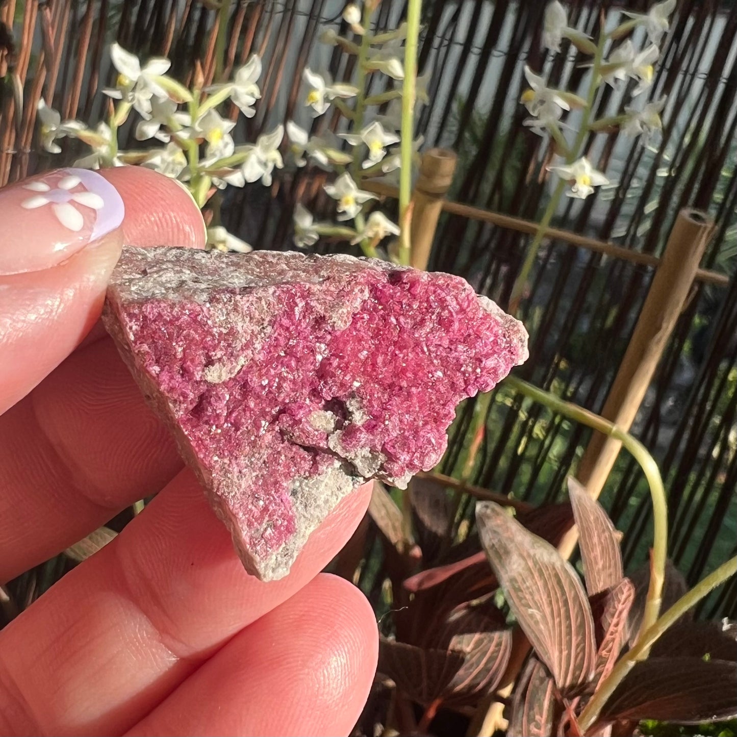 Sparkly Cobaltoan Calcite Specimen (iv)