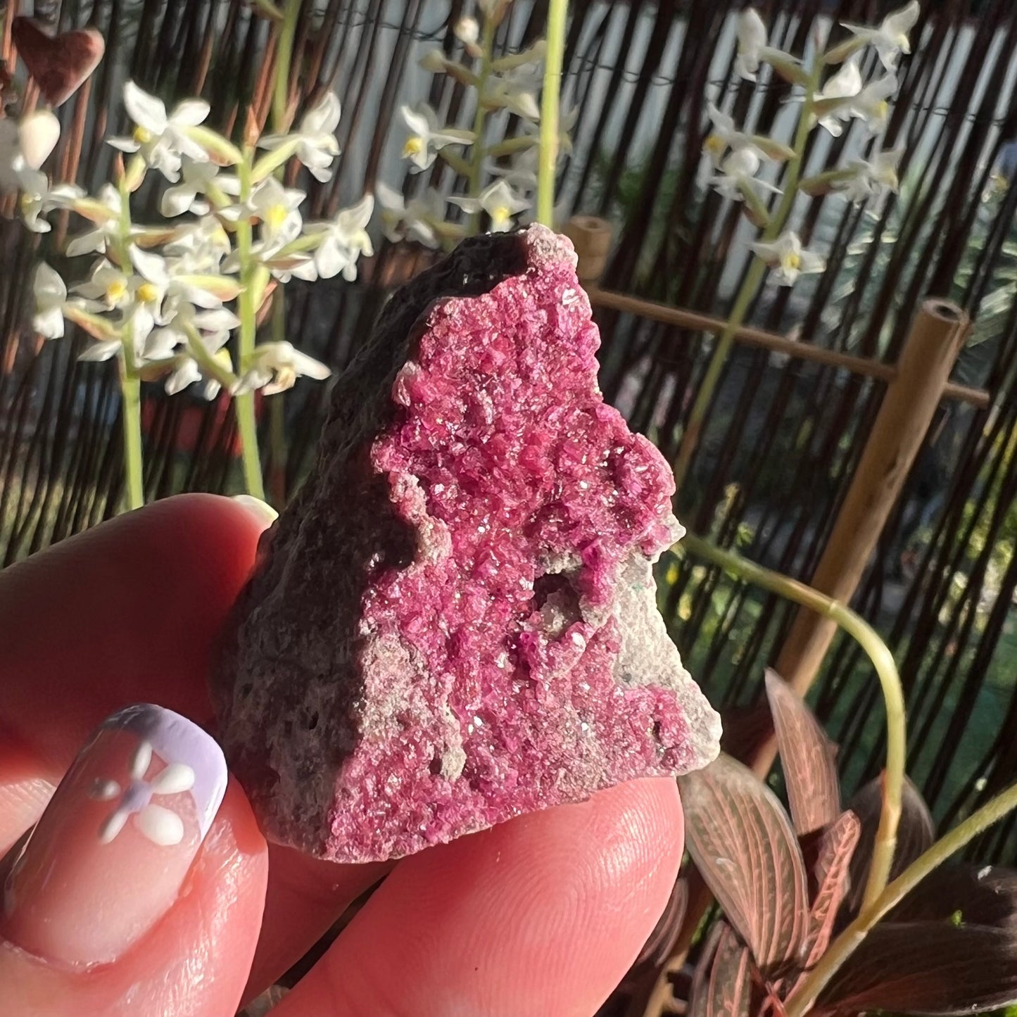 Sparkly Cobaltoan Calcite Specimen (iv)