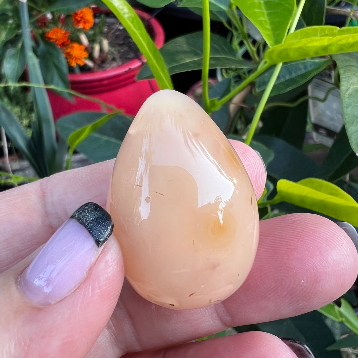Pink Apricot Flower Agate Ovoid Egg Geode