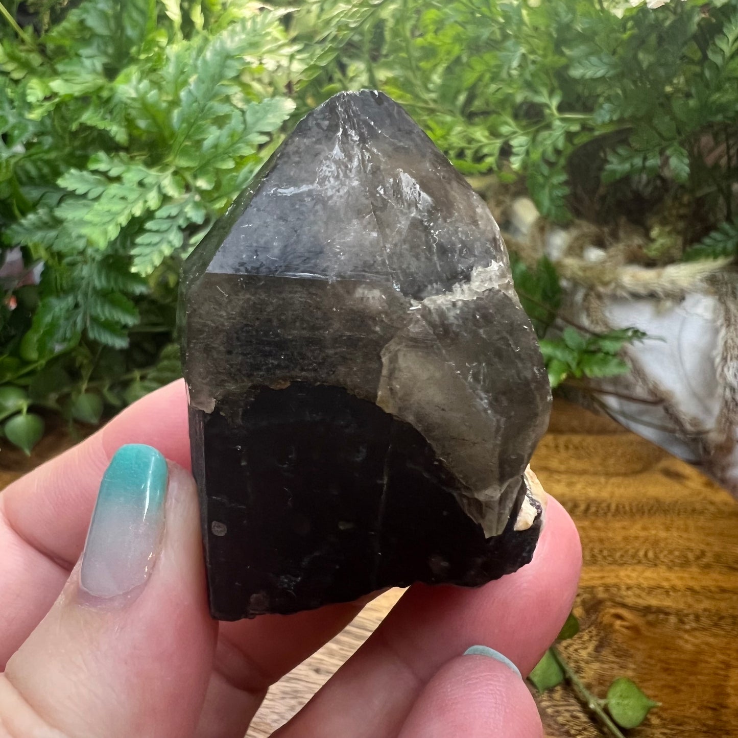 Morion Quartz Point | Black Quartz with Smoky Quartz capping