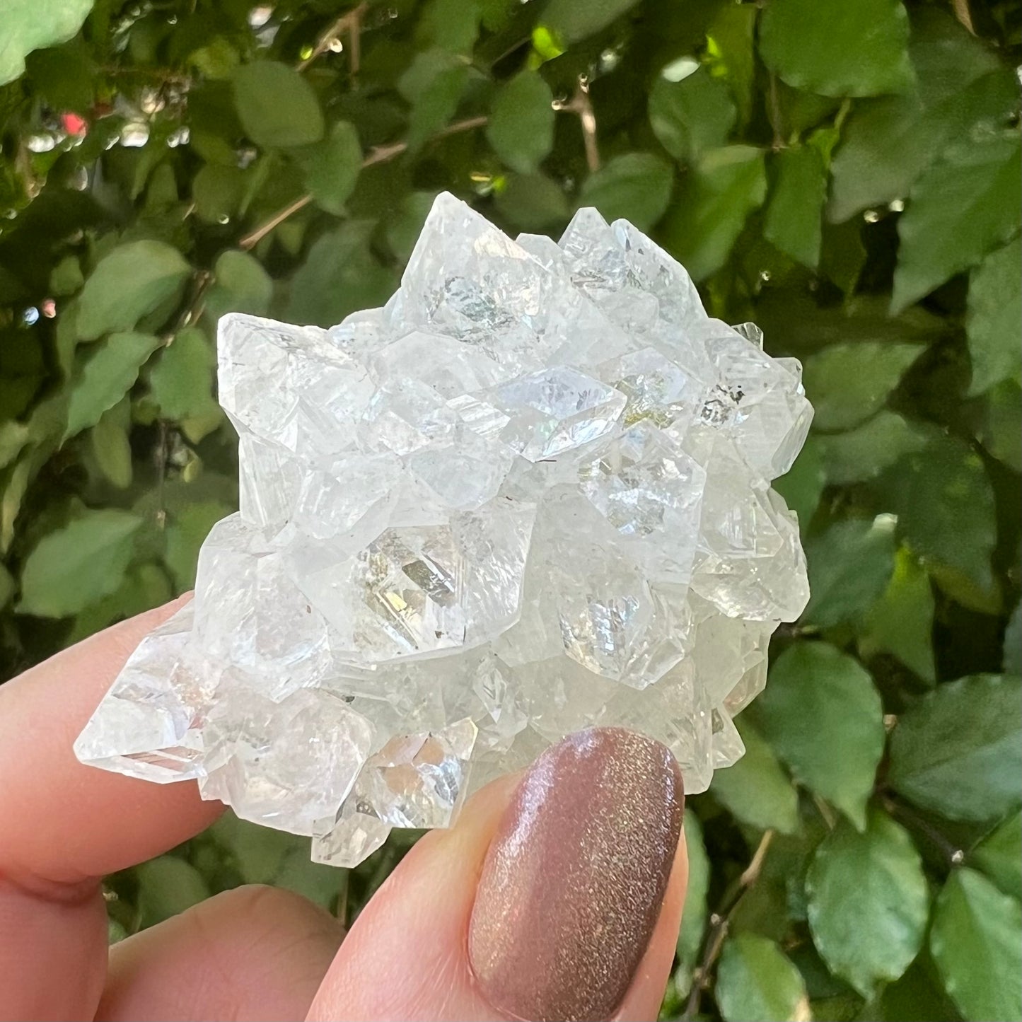 Mirror Apophyllite on Chlorite Calcite Matrix Cluster - Jalgoan District, Maharashtra, India