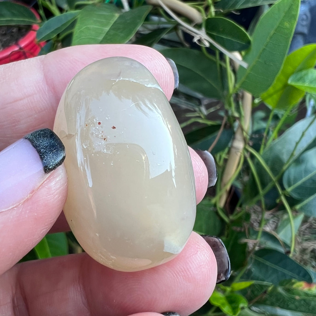 Polished Agate Geode Egg with Crystalline Druzy Cave | Pocket Stone