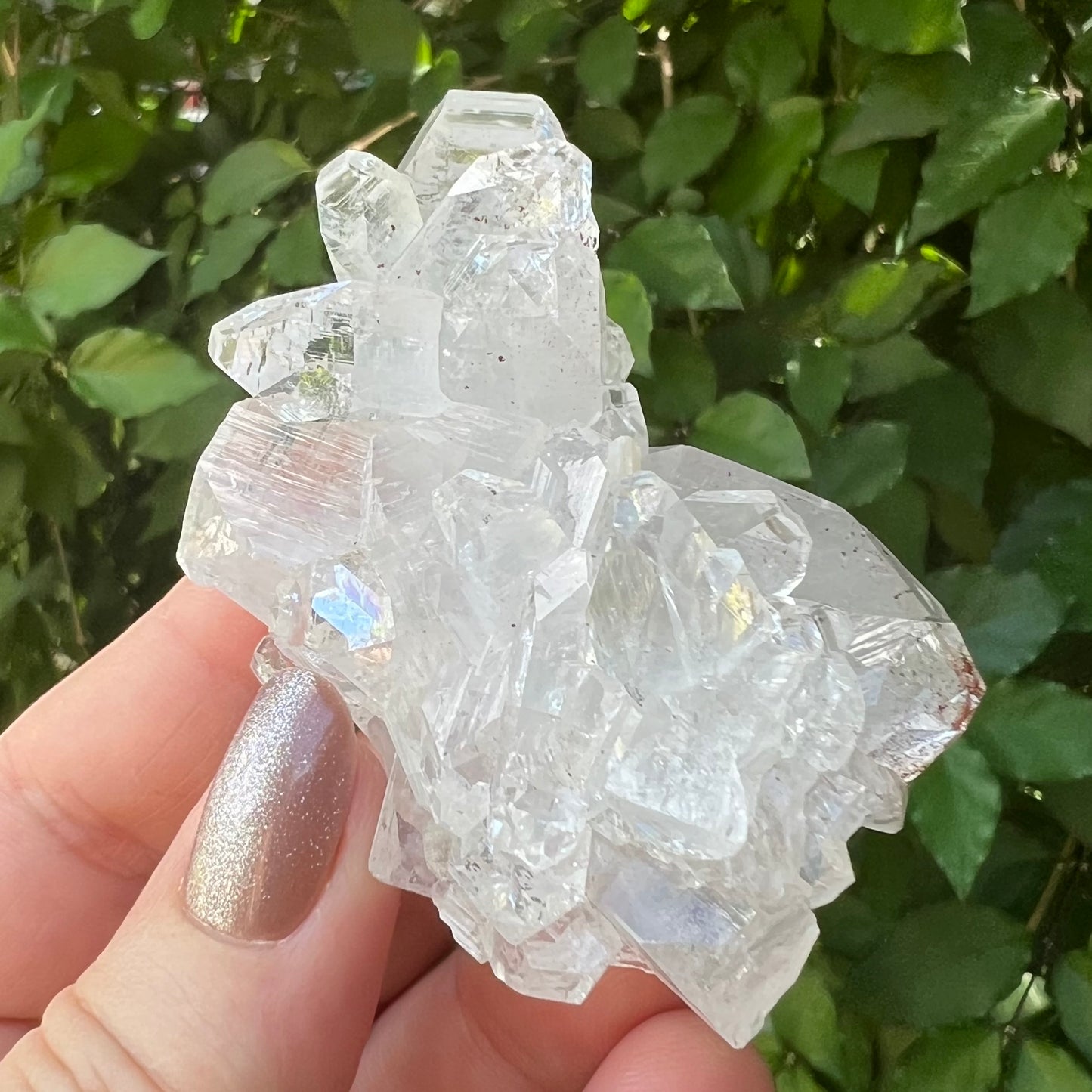 Mirror Apophyllite Cluster with Hematite inclusions - Jalgoan District, Maharashtra, India