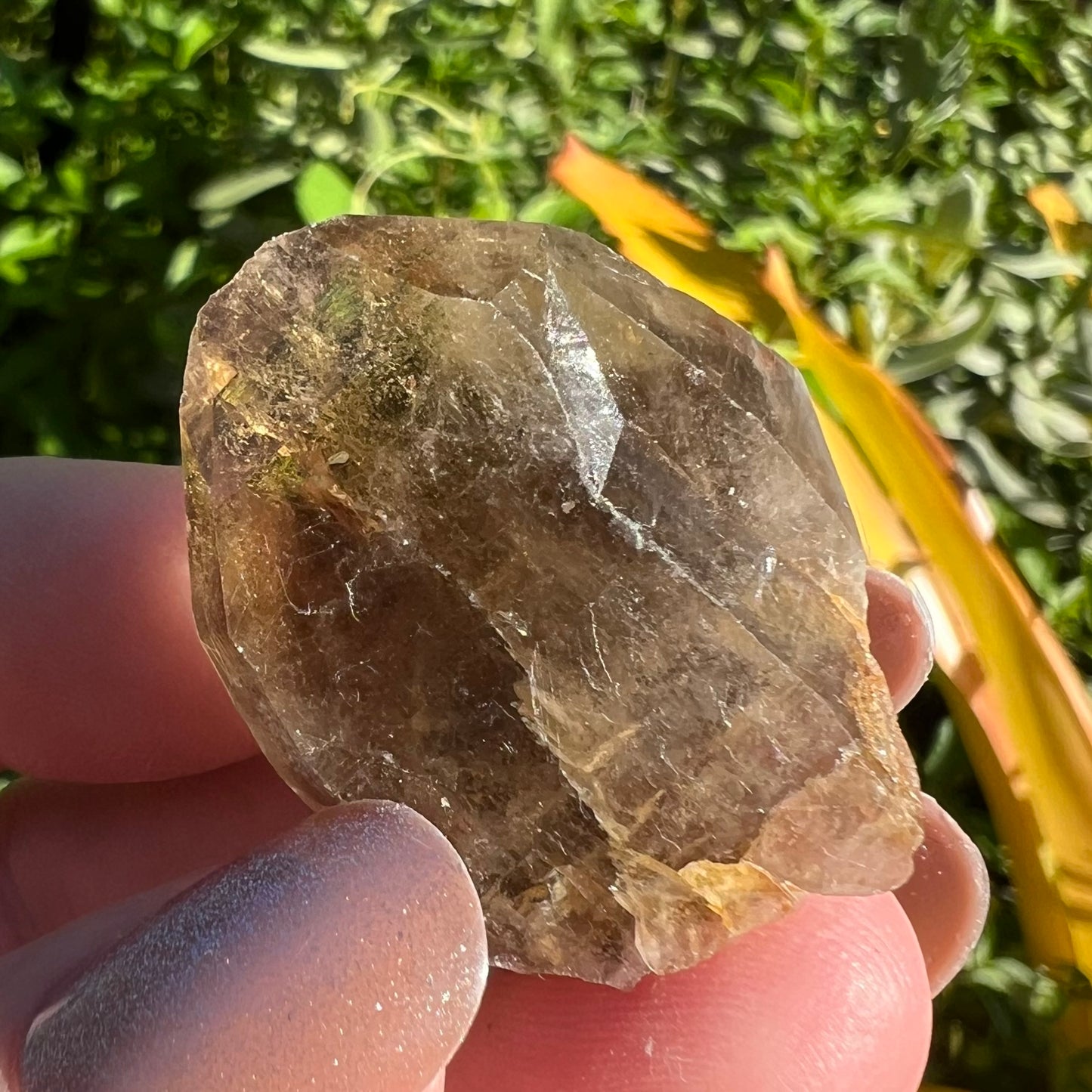 Natural Smoky Quartz Point - Namibia