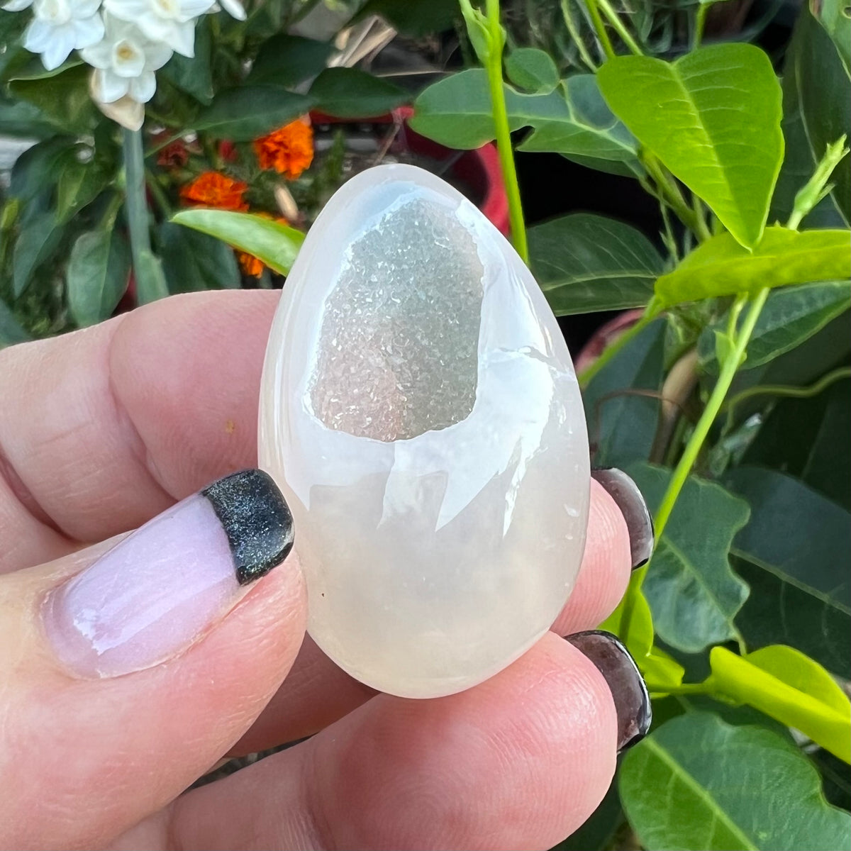 A hand holds a polished white agate crystal egg with a natural diamond-like druzy formation inside, set against a background of green garden leaves and small flowers.