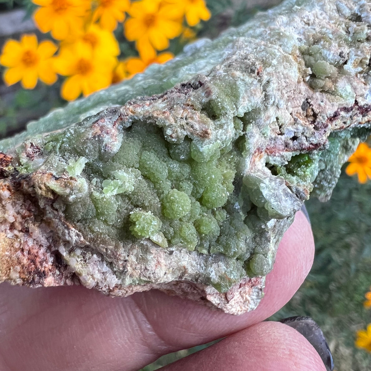 Close up of the pyrmorphite clusters on the shelf edge