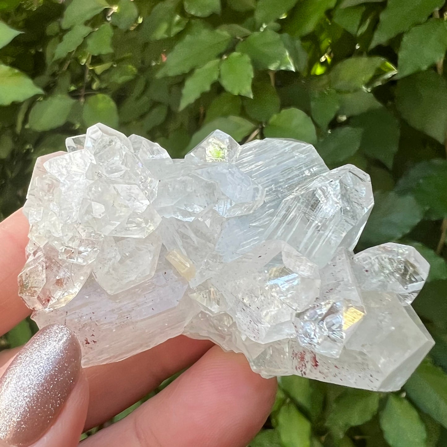 Mirror Apophyllite Cluster with Hematite inclusions - Jalgoan District, Maharashtra, India