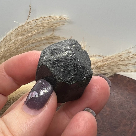 Raw Natural Black Tourmaline (b) - Mercedes Terminated Pocket Rock