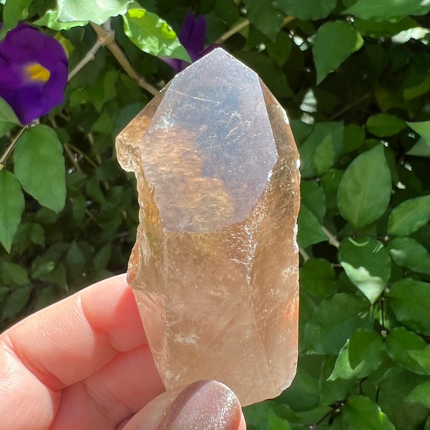 Smoky Quartz Point - Channeling Quartz with Rutile & Isis Window.