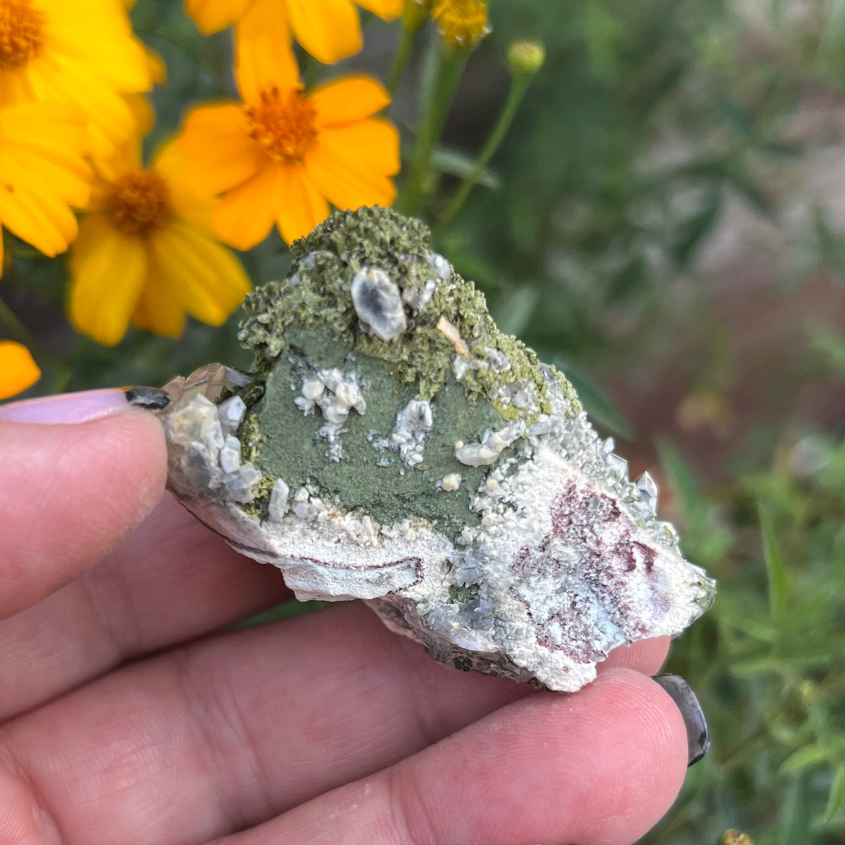 Epidote and Quartz Cluster Specimen - 'Fairy Forest' specimen