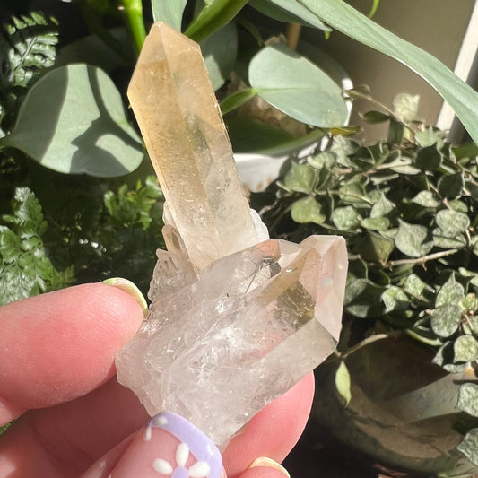 Golden Healer Quartz Mini Cluster (40g)