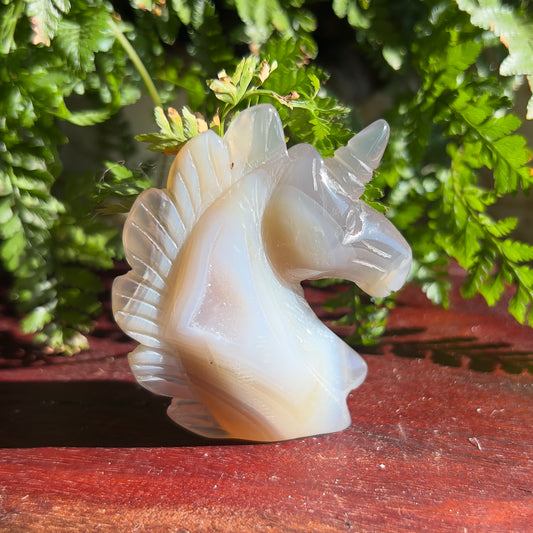 Unicorn Crystal Carving - Agate with Druzy (2)