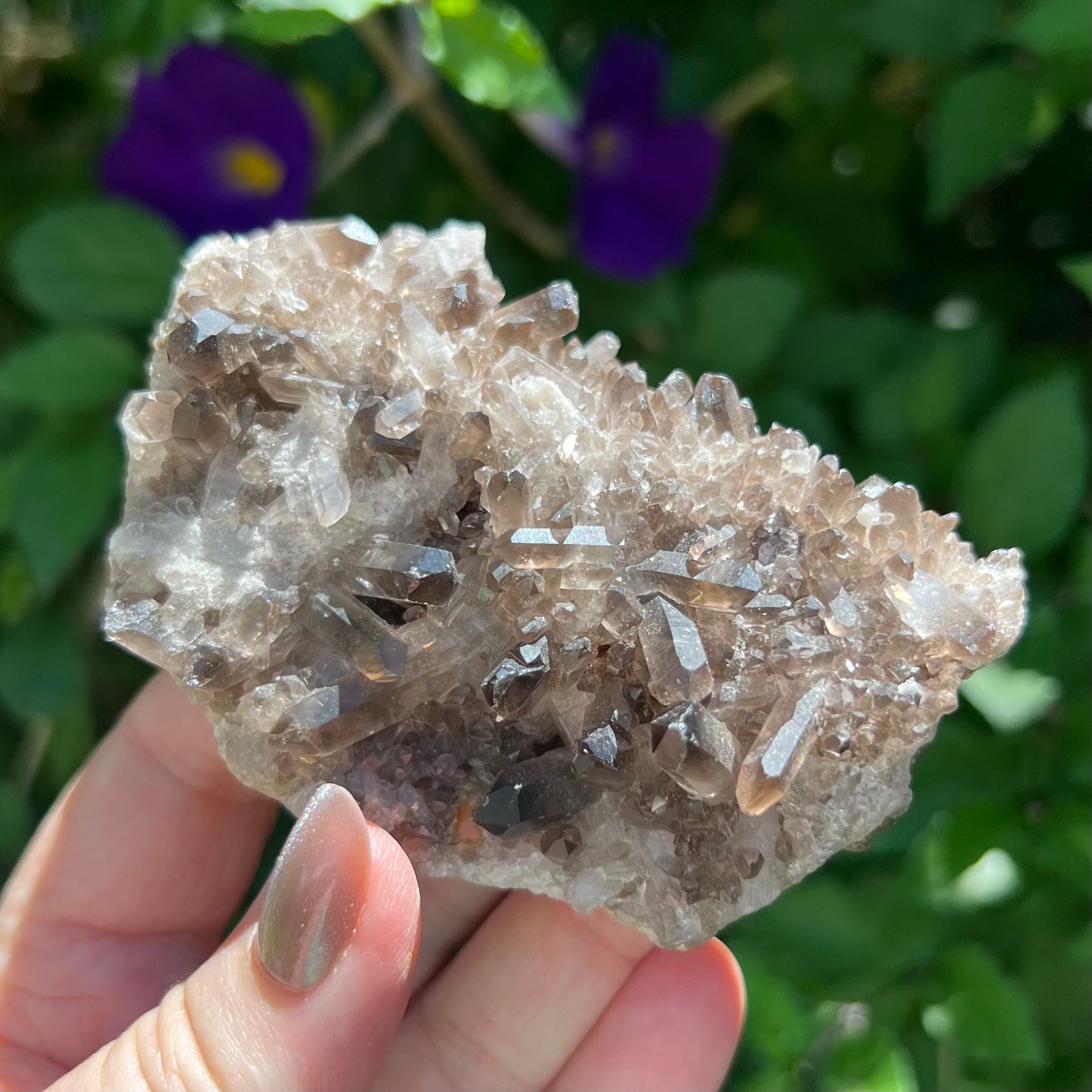 Smoky Quartz Cluster - lovely small point display