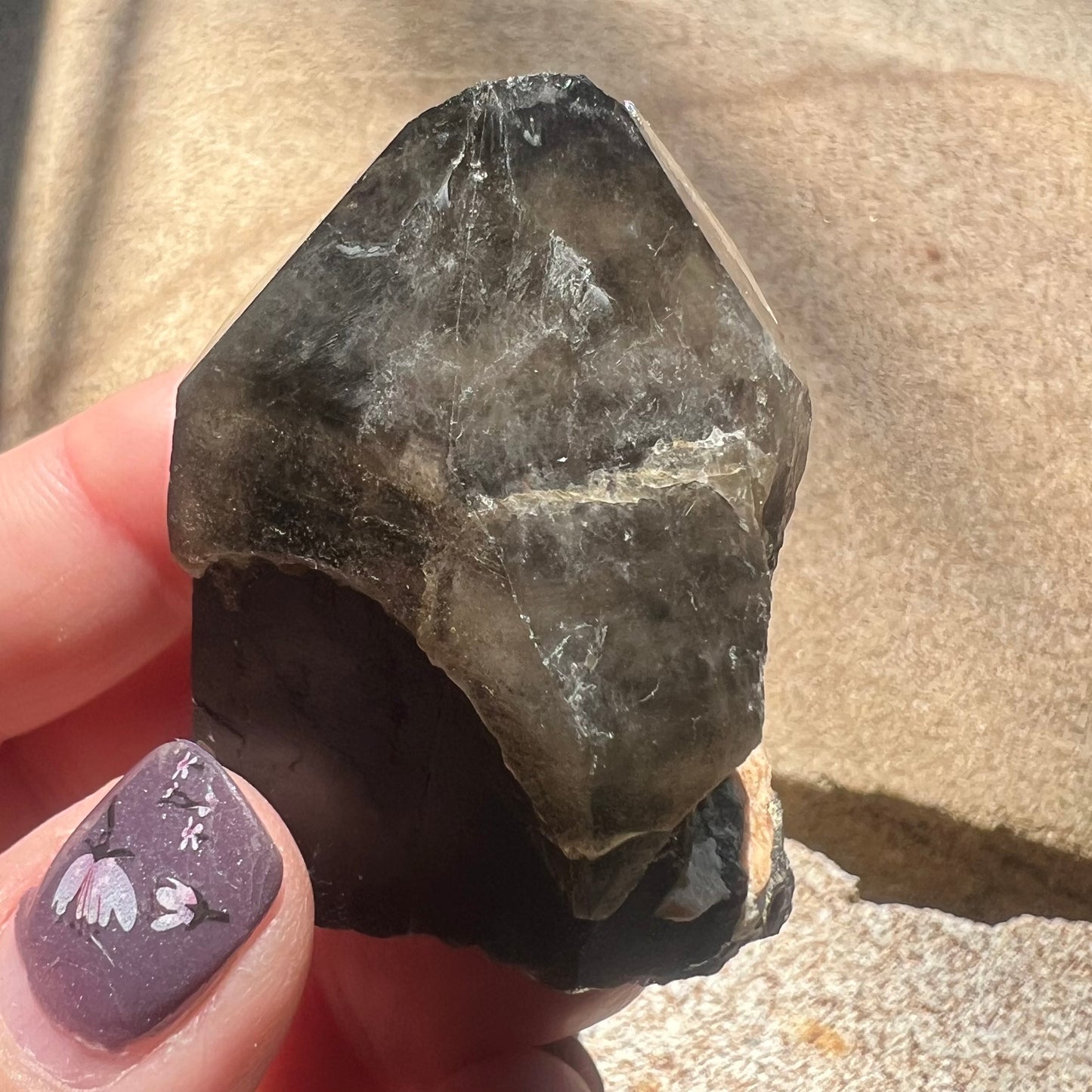 Morion Quartz Point | Black Quartz with Smoky Quartz capping