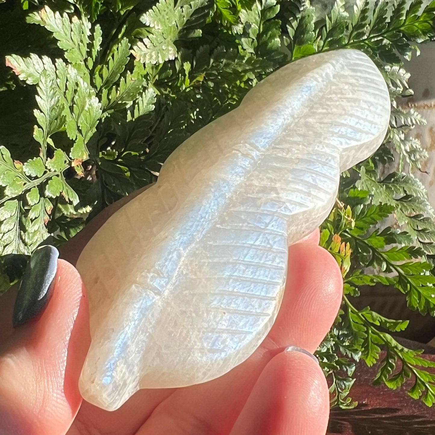 White Moonstone Carved Angel Feather (Blue flash)