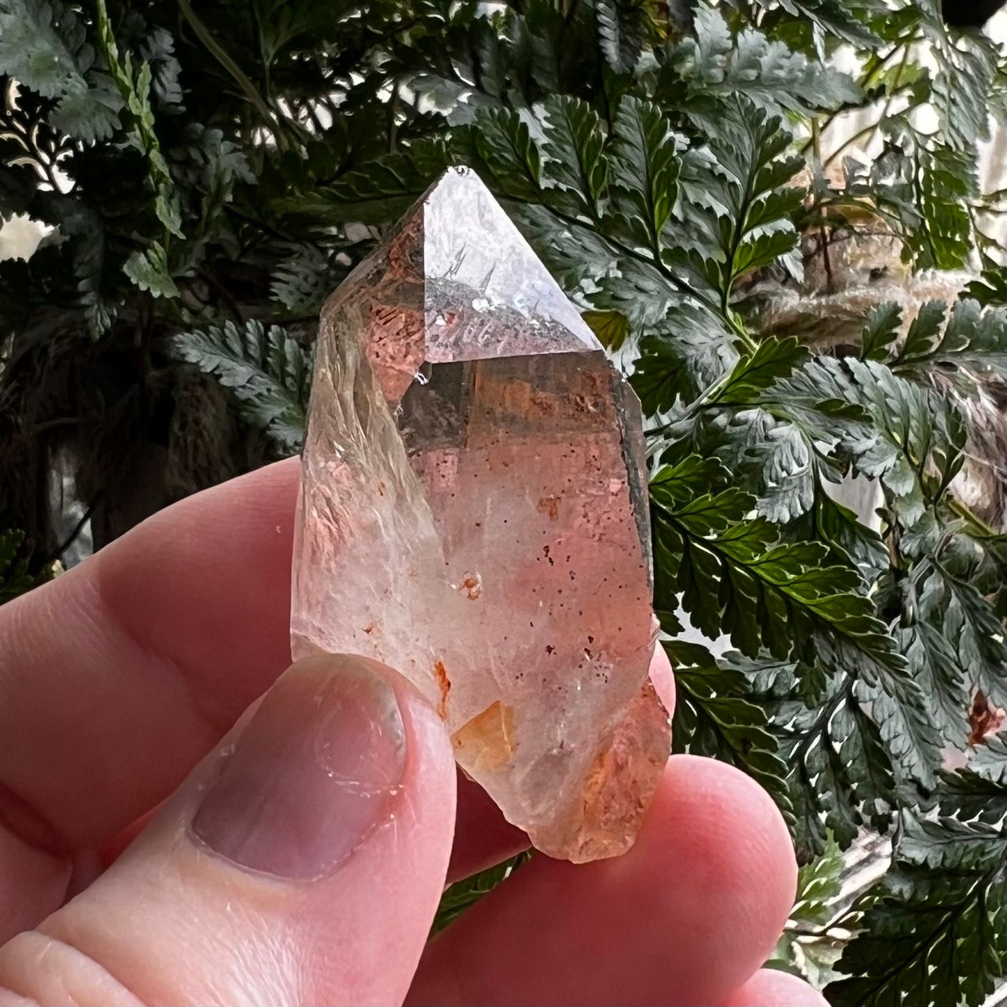Natural Lemurian Quartz Point with Hematite & Chlorite Inclusions | Himalayan region