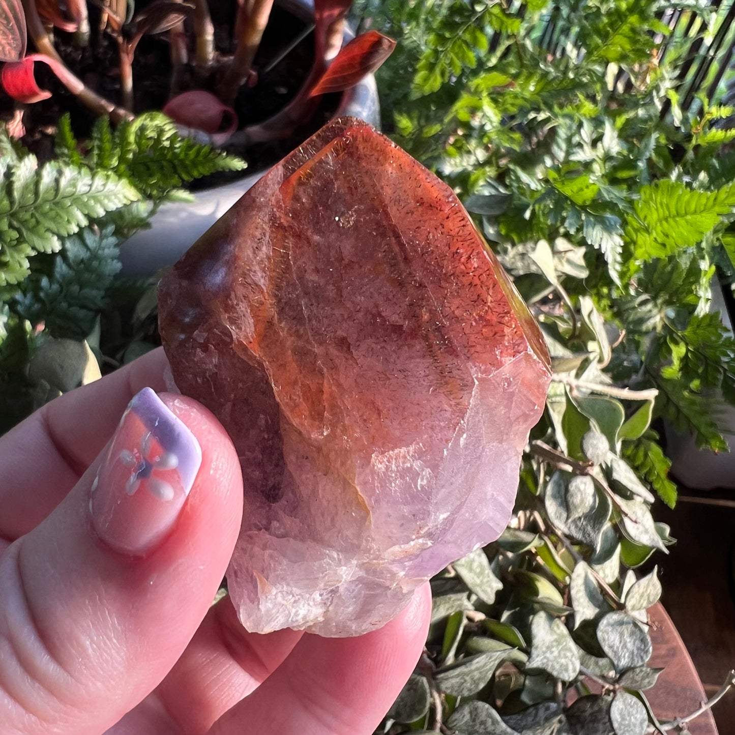 Red Cap Amethyst | Auralite-23 Large Natural Point