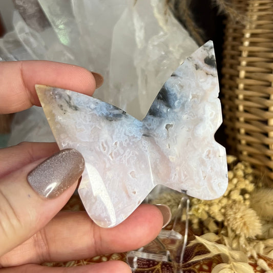 Plume Agate Druzy 3D Butterfly Carving