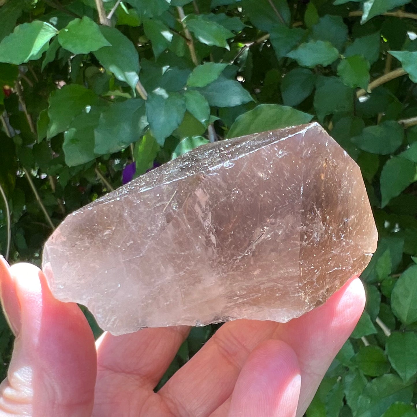 Large Natural Rutilated Smoky Quartz Point | Bahia, Brazil