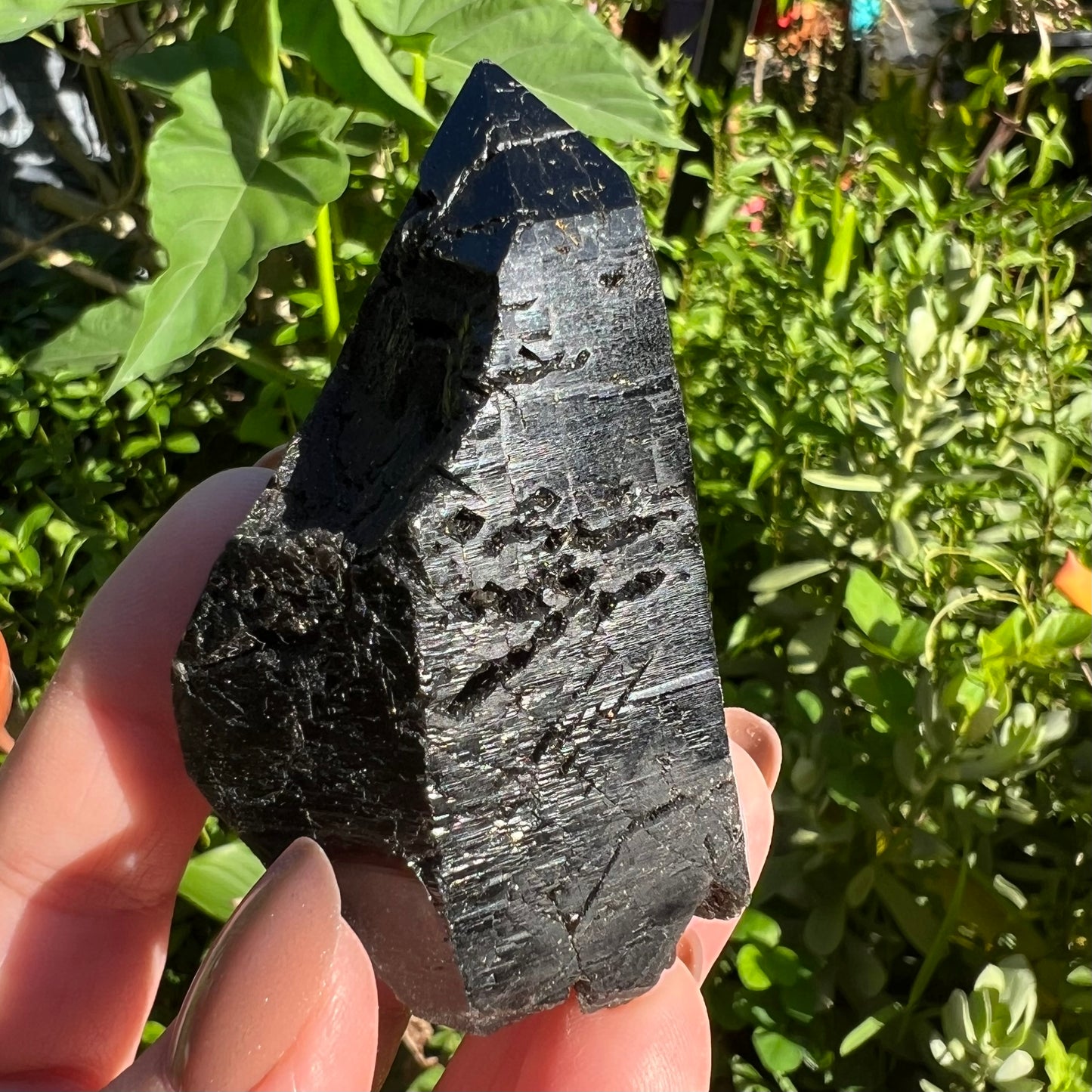 Black Smoky Quartz | China | Self-Healed Morion Quartz