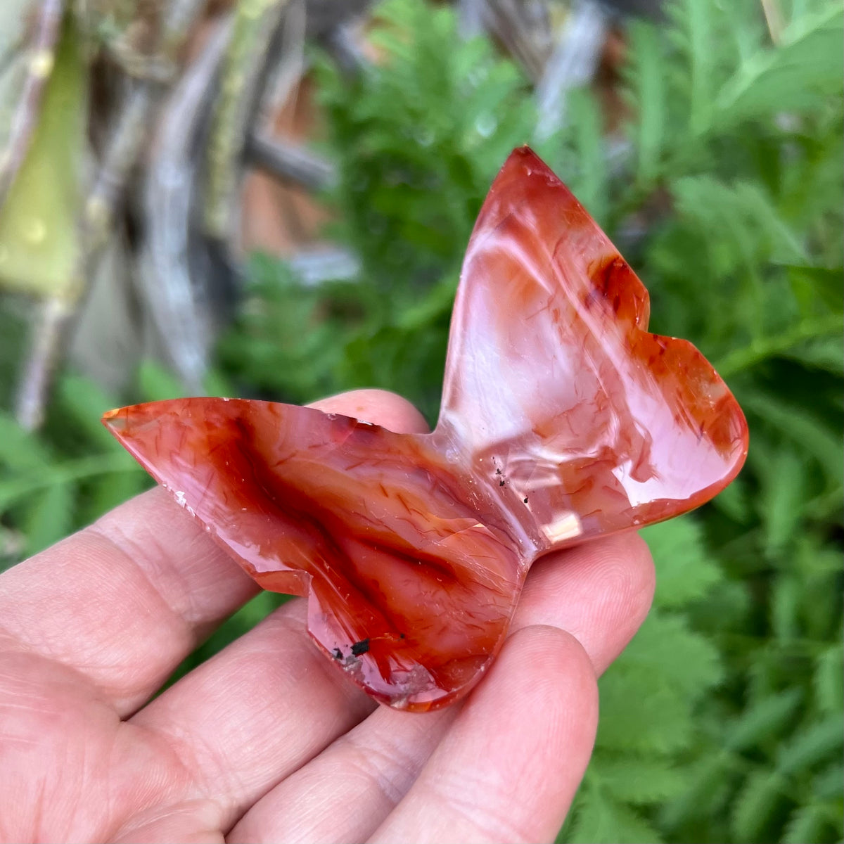 Carnelian 3D Butterfly Carving